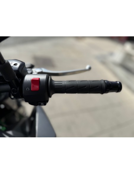 KAWASAKI Z 900 AÑO 2024 CON 7.926 KM.