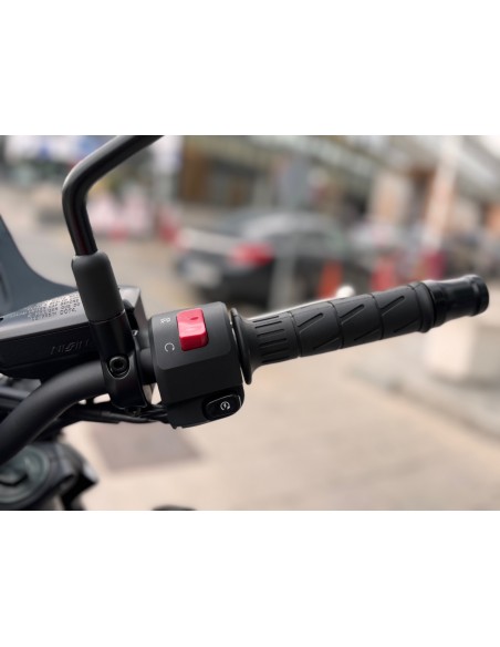 KAWASAKI Z 900 FULL AÑO 2024 CON 5.634 KM.