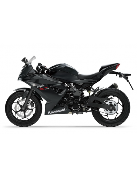 KAWASAKI NINJA 125 2026