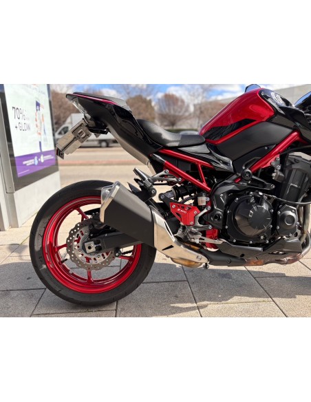 KAWASAKI Z 900 A2 AÑO 2024 CON 7.364 KM.