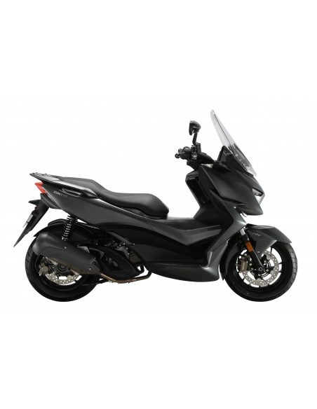 ZONTES M310