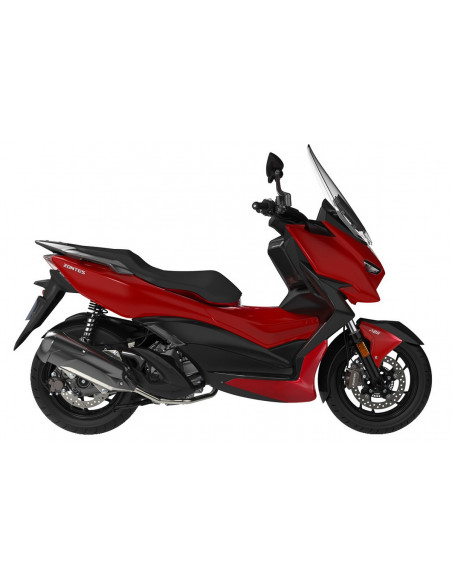 ZONTES M310